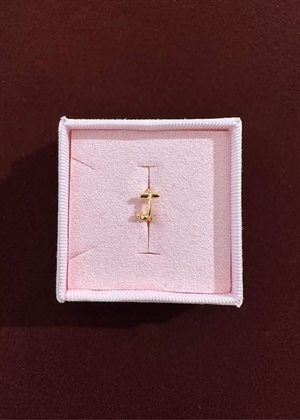 Spelling huggie J Forgyldt Pico 